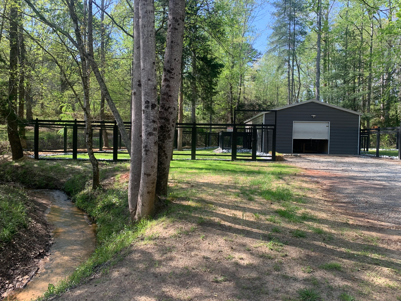 Dog Boarding & Kennels
