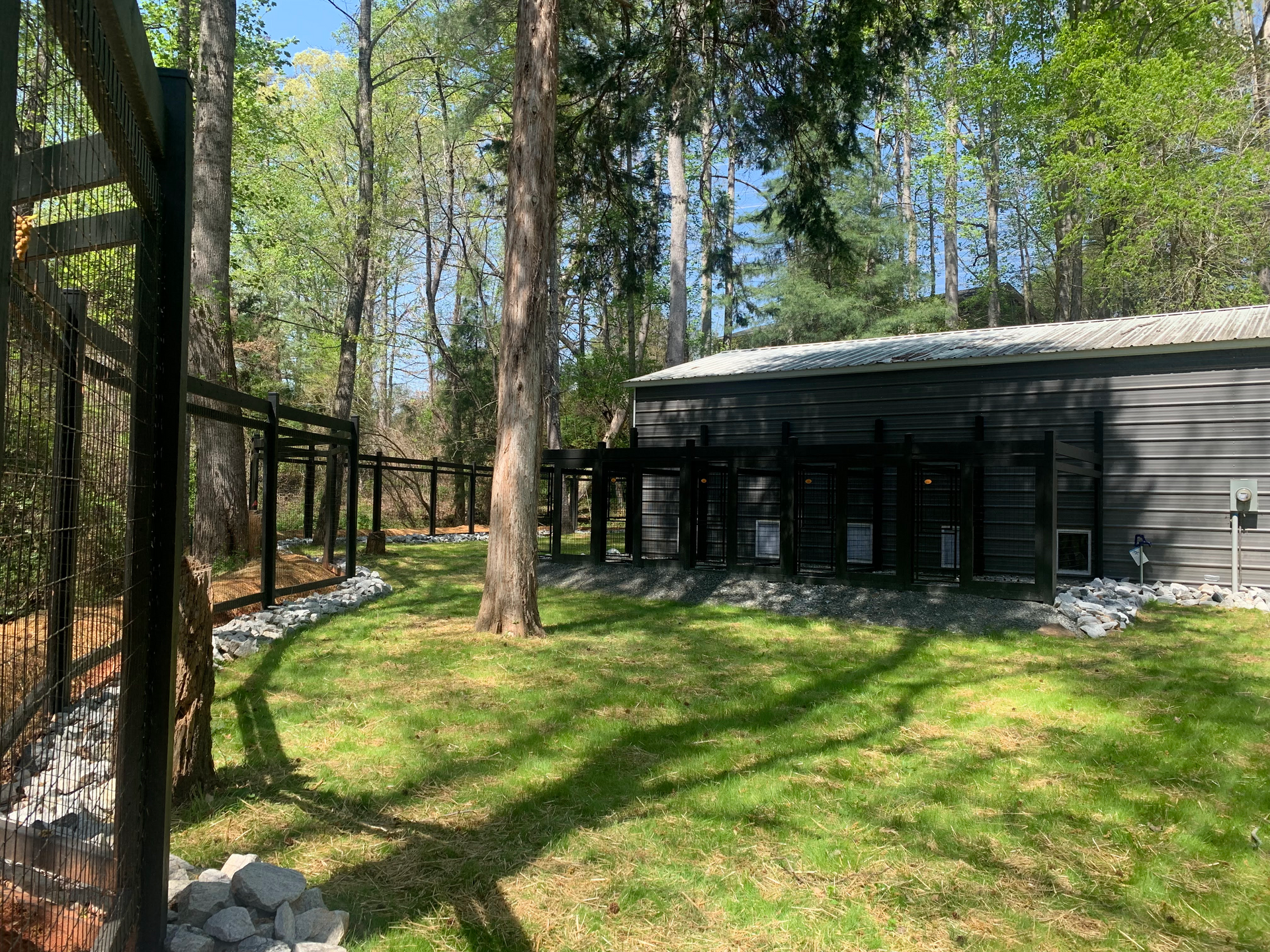 Dog Kennels Play Area, Clemson SC