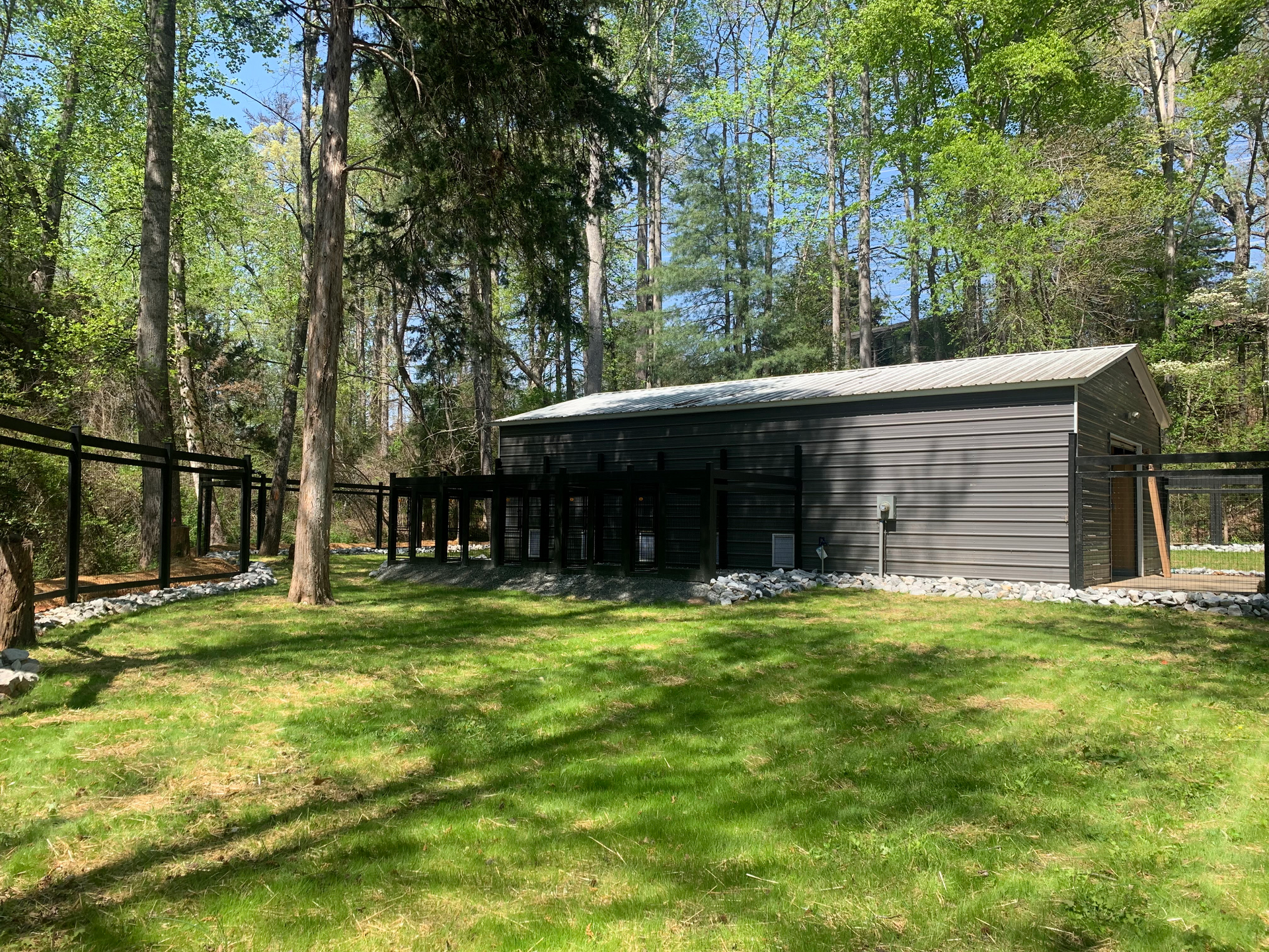 dog boarding fenced in yard seneca sc