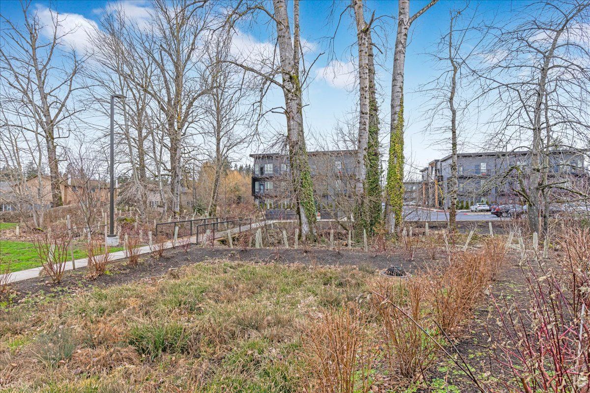 there are trees in the background and a house in the background .