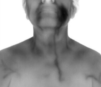 A black and white photo of a shirtless man 's neck and chest.