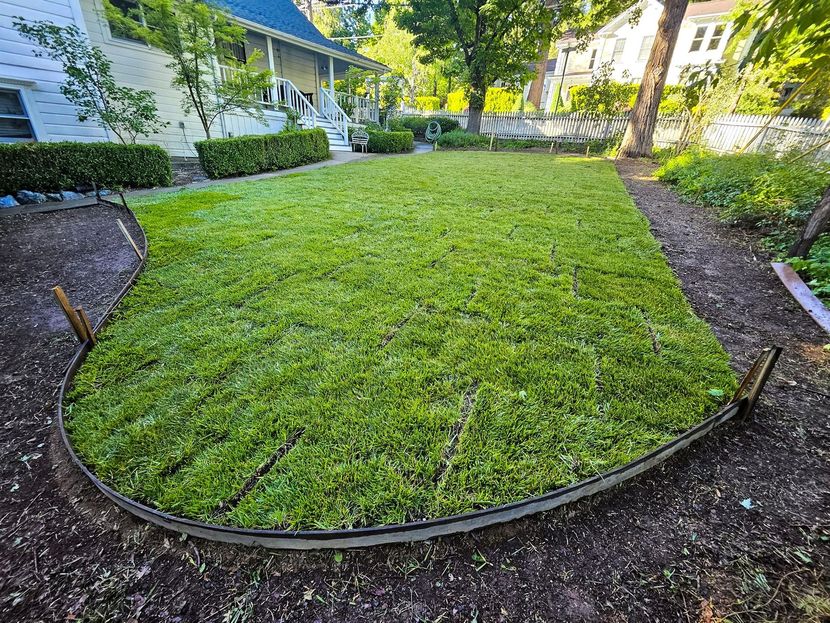 A lush green lawn with a metal edging in front of a house.