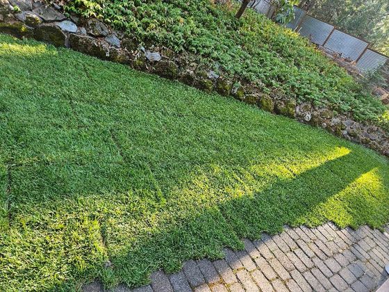 A lush green lawn surrounded by rocks and bricks.