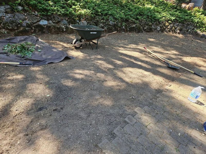 A wheelbarrow is sitting in the middle of a dirt field.
