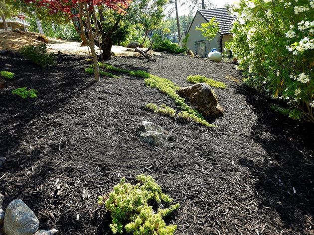 There is a house in the background and a lot of mulch in the foreground.