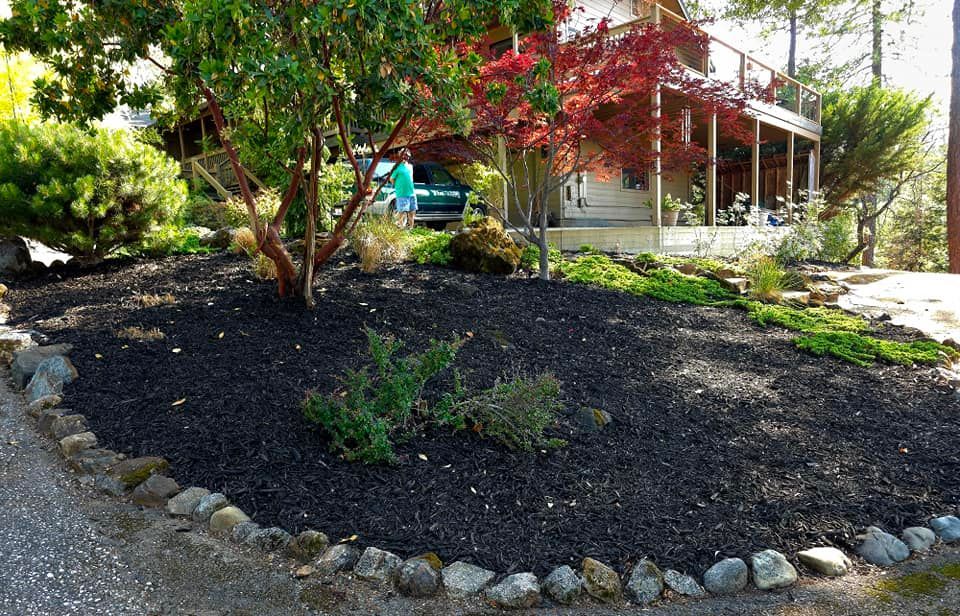 A house with a lot of trees and rocks in front of it.