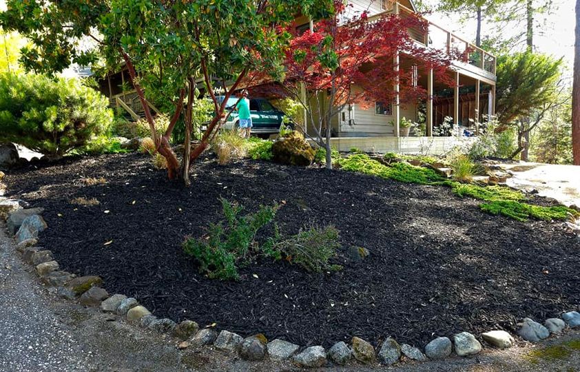 A house with a lot of trees and rocks in front of it.