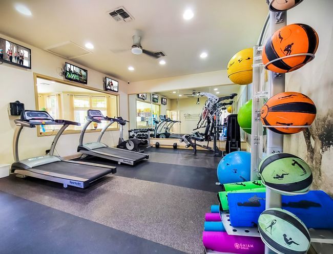 Bright gym interior with treadmills, exercise bikes, and stacked medicine balls in Knoxville, Tennessee