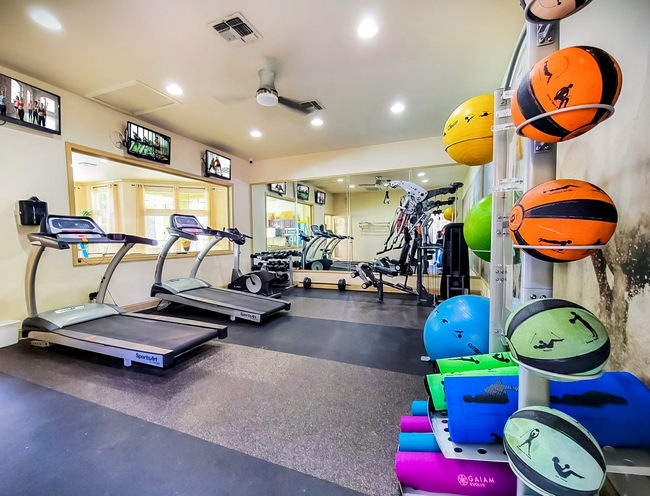 A gym with treadmills , dumbbells , and balls.