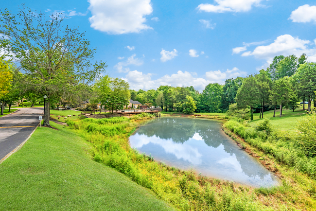 There is a pond in the middle of a park surrounded by trees.