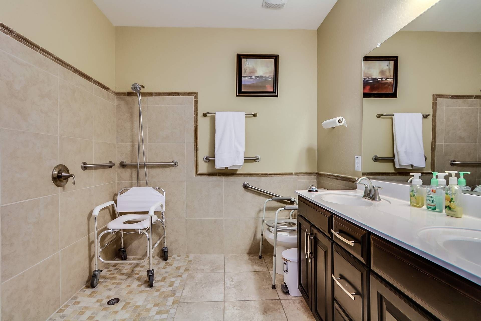 Hospice Care Bathroom