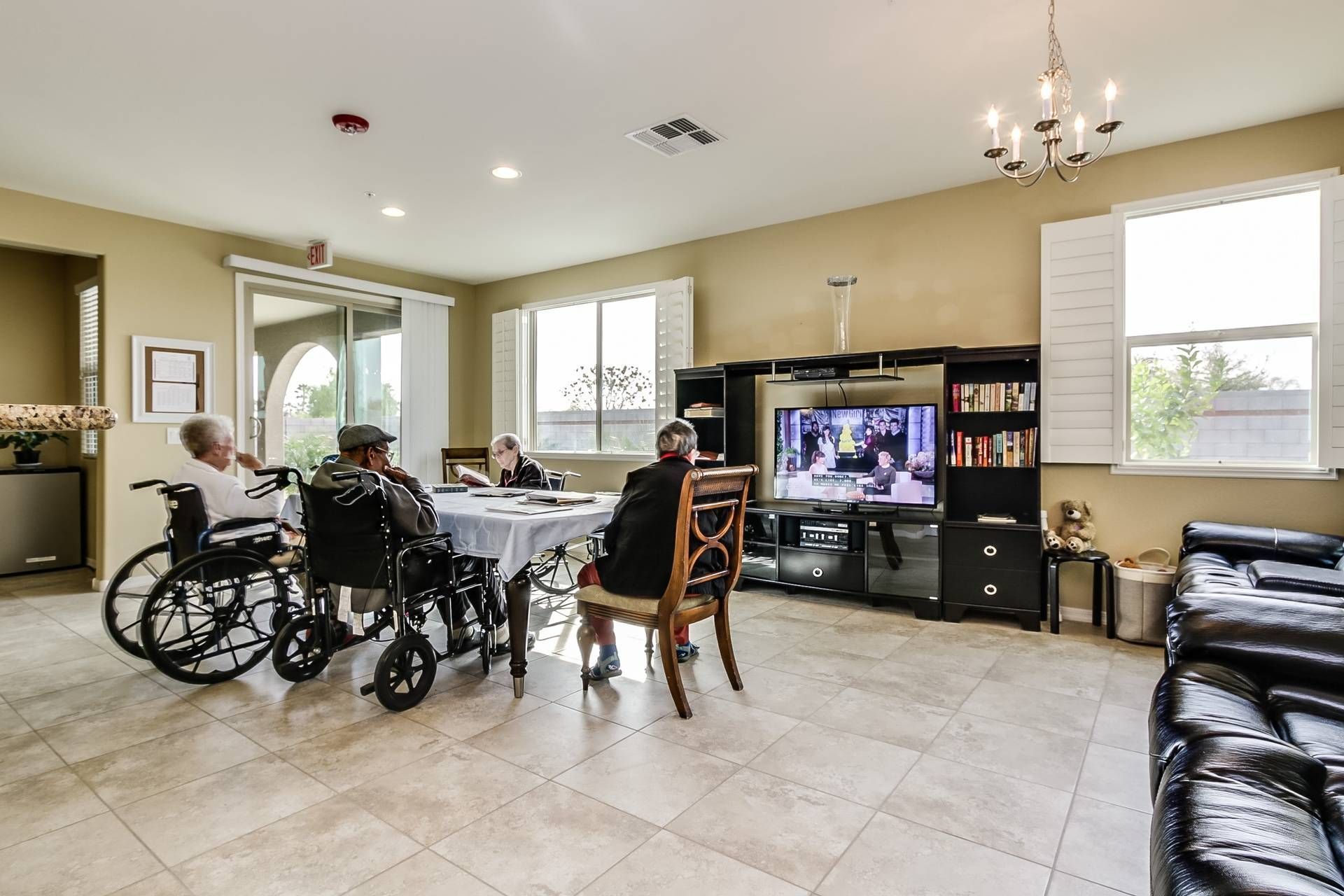 Hospice Care Seniors Watching Television