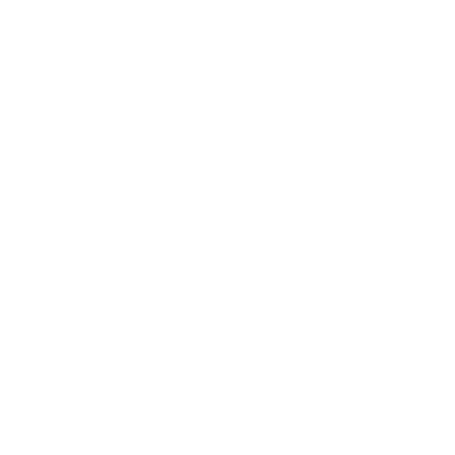 Dan Team Logo