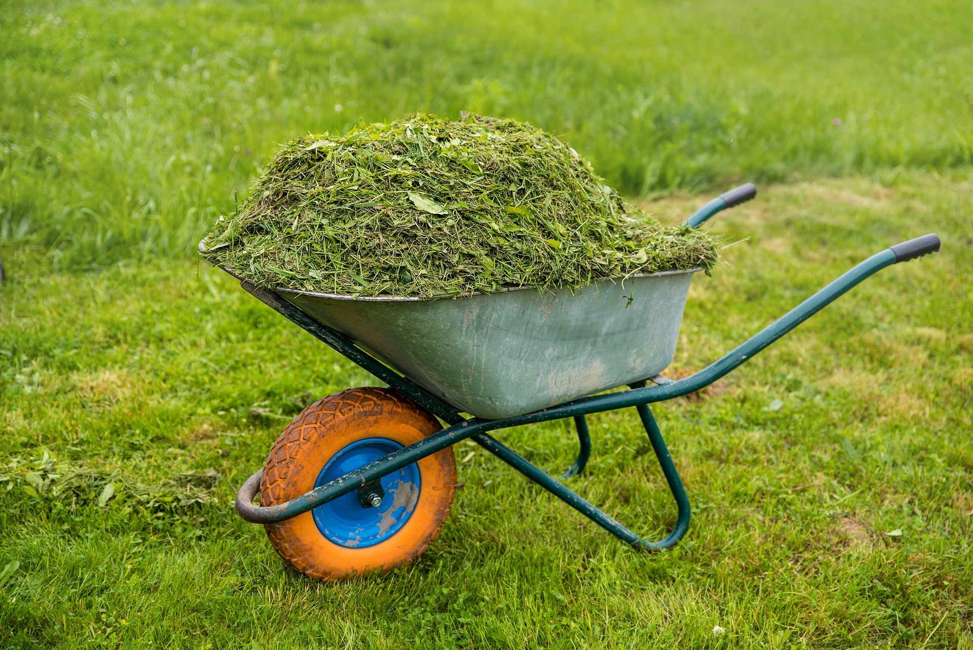 A wheelbarrow filled with grass is sitting on top of a lush green field