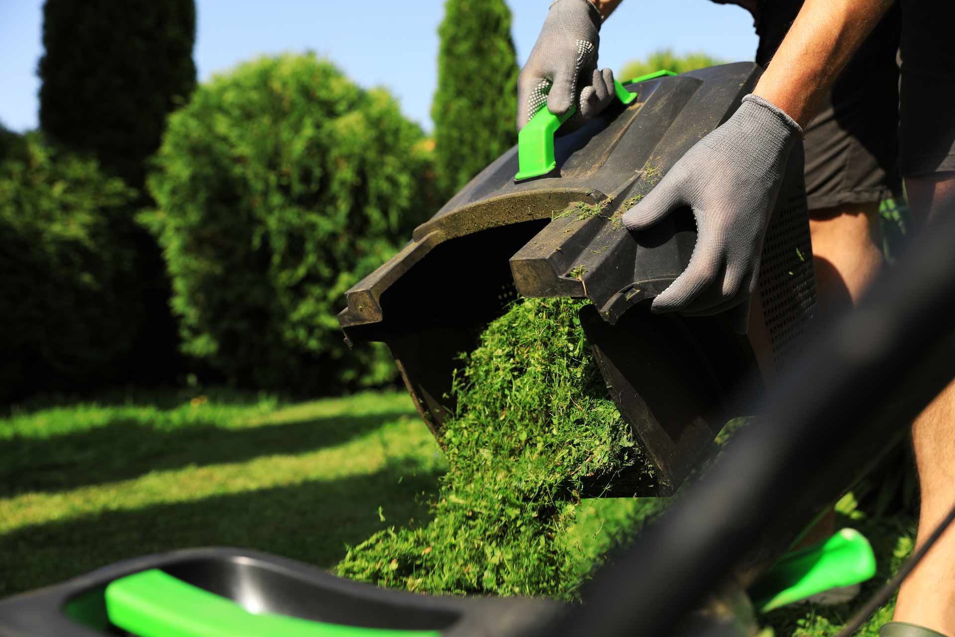 Pouring cut grass on bin