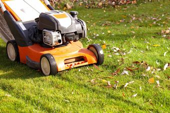 An orange and black lawn mower is cutting a lush green lawn