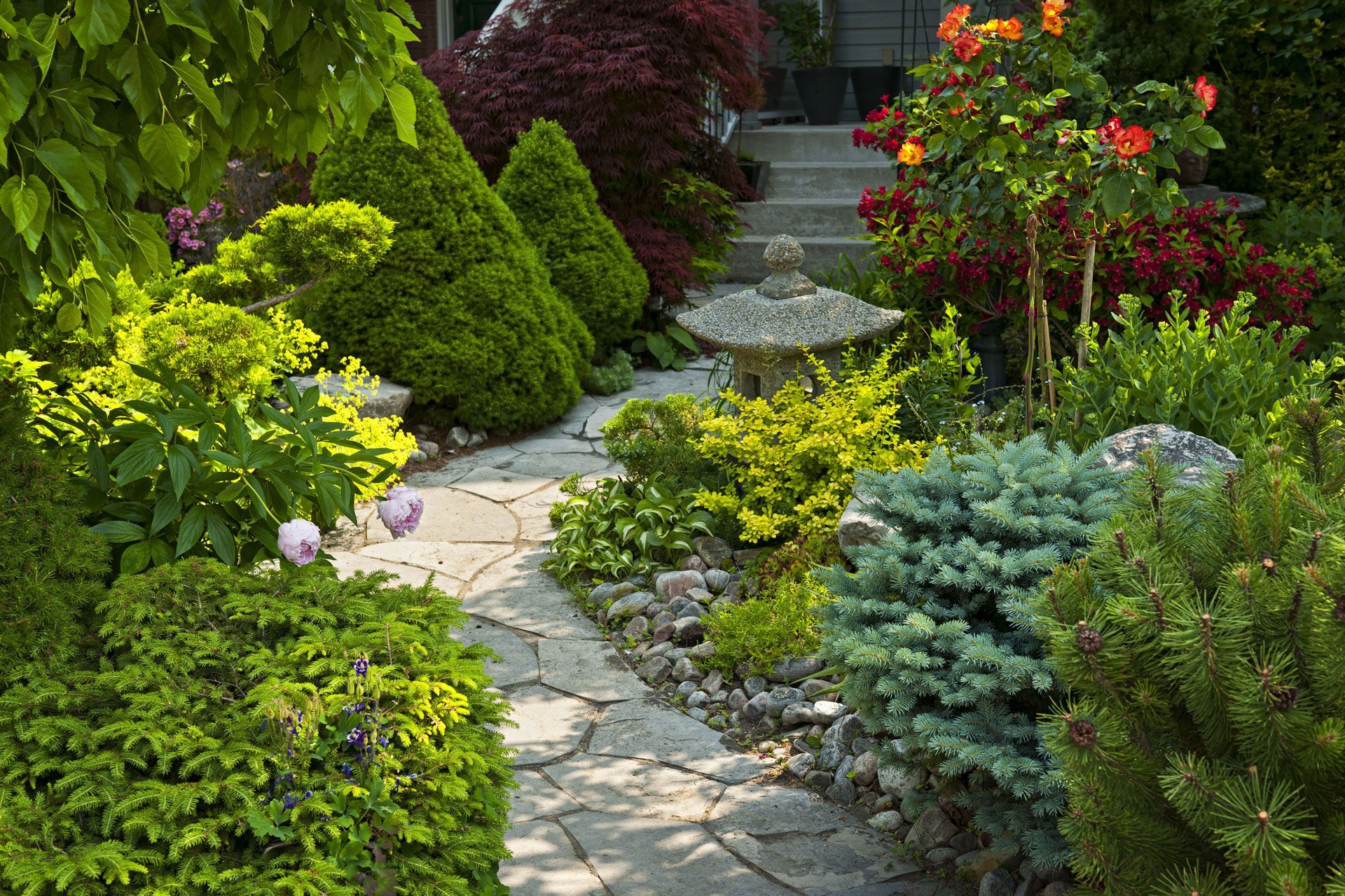 Stone path winds through a vibrant garden with lush green and colorful plants, leading towards stairs.