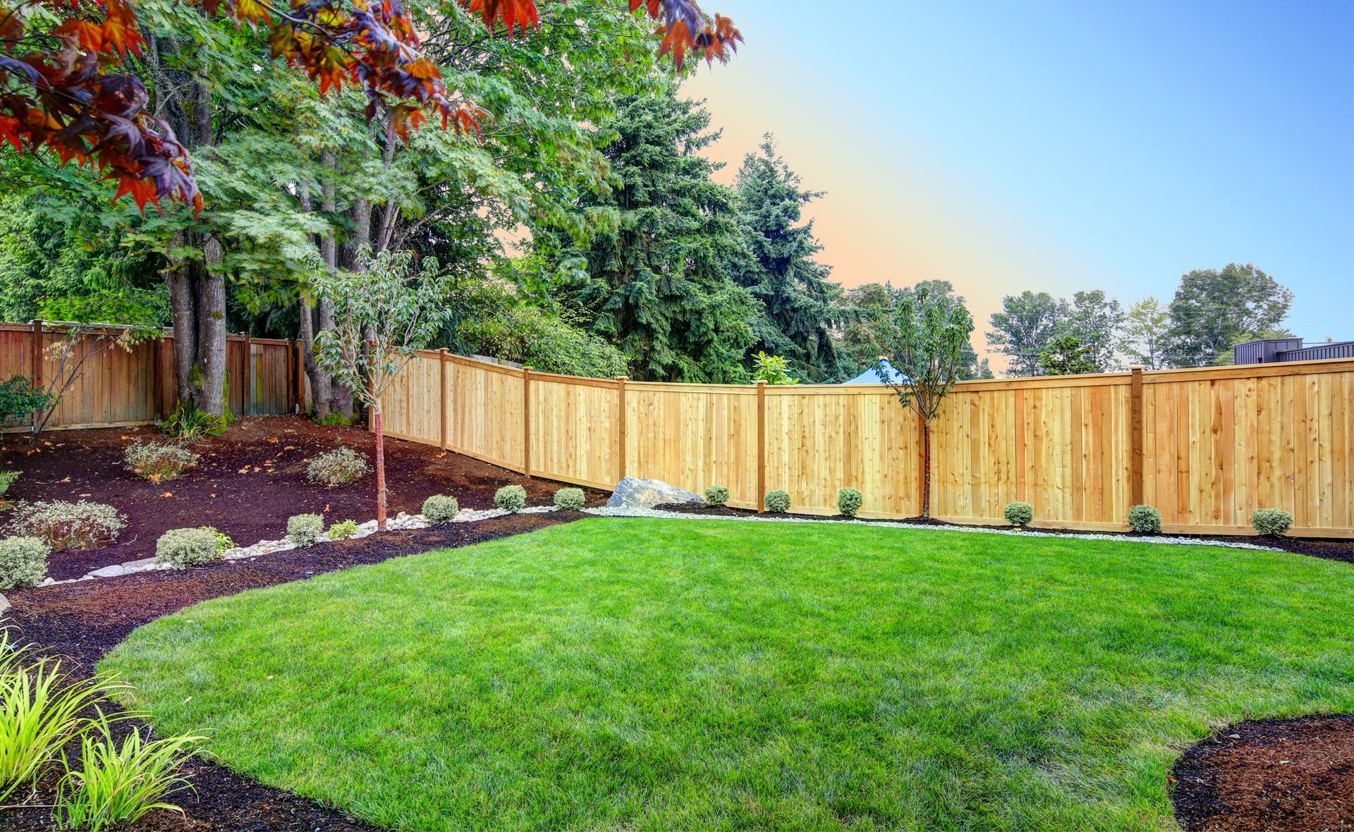 A backyard with a wooden fence and a lush green lawn