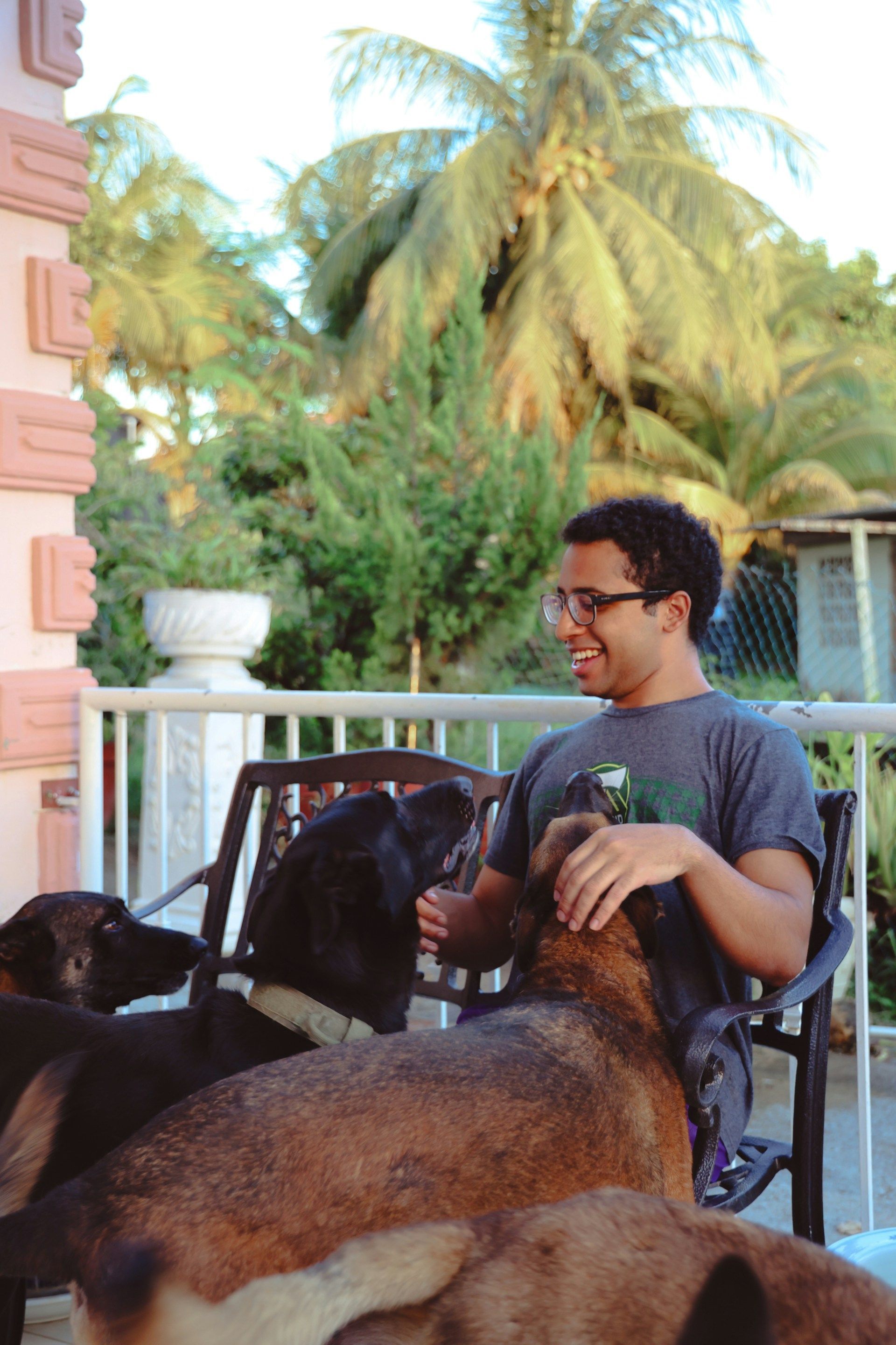 Man seated on a porch, petting dogs. Smiling. Trees and a building in the background.