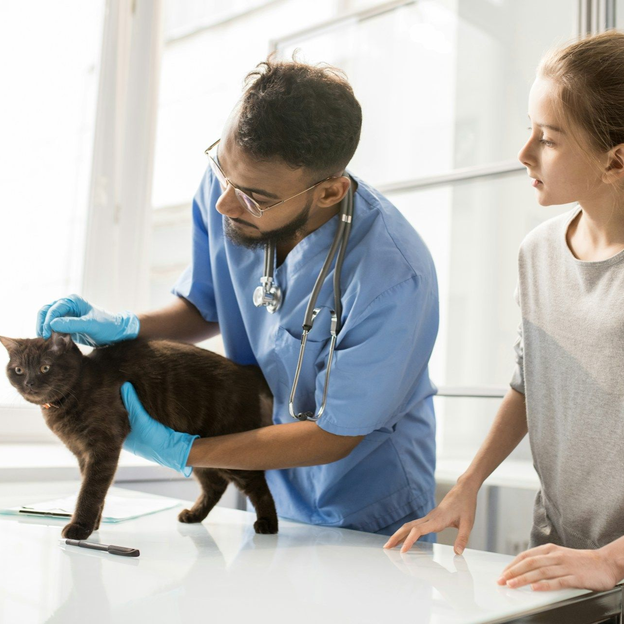 Veterinarian examining a brown cat while the owner looks on. In a clinic setting, the vet wears gloves and a stethoscope.