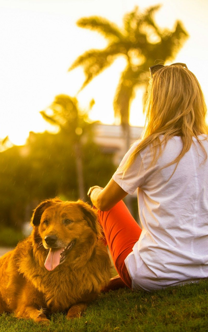 Woman sits on grass with dog; sunlit park with palm trees in background.