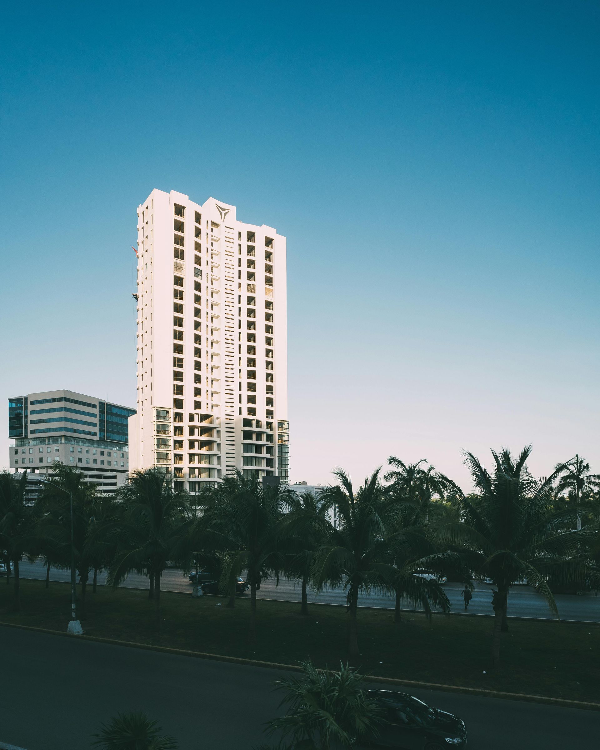 Tall white building against a clear blue sky, palm trees in the foreground.