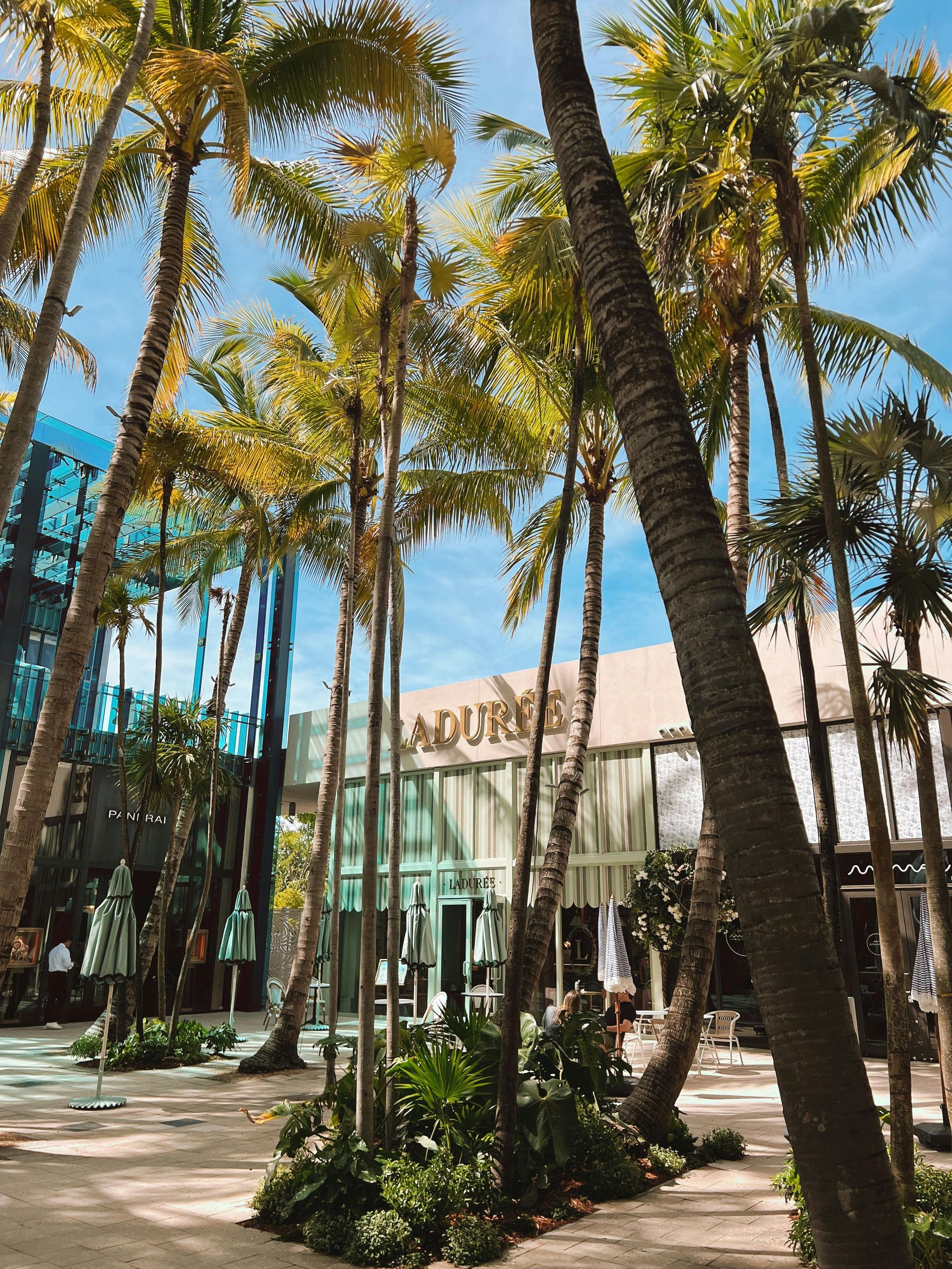 Palm trees frame the Ladurée bakery facade in an outdoor courtyard. Sunlight illuminates the scene.
