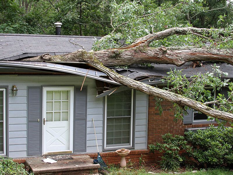 A tree branch on a roof, causing damage to a house with blue siding and a white door.