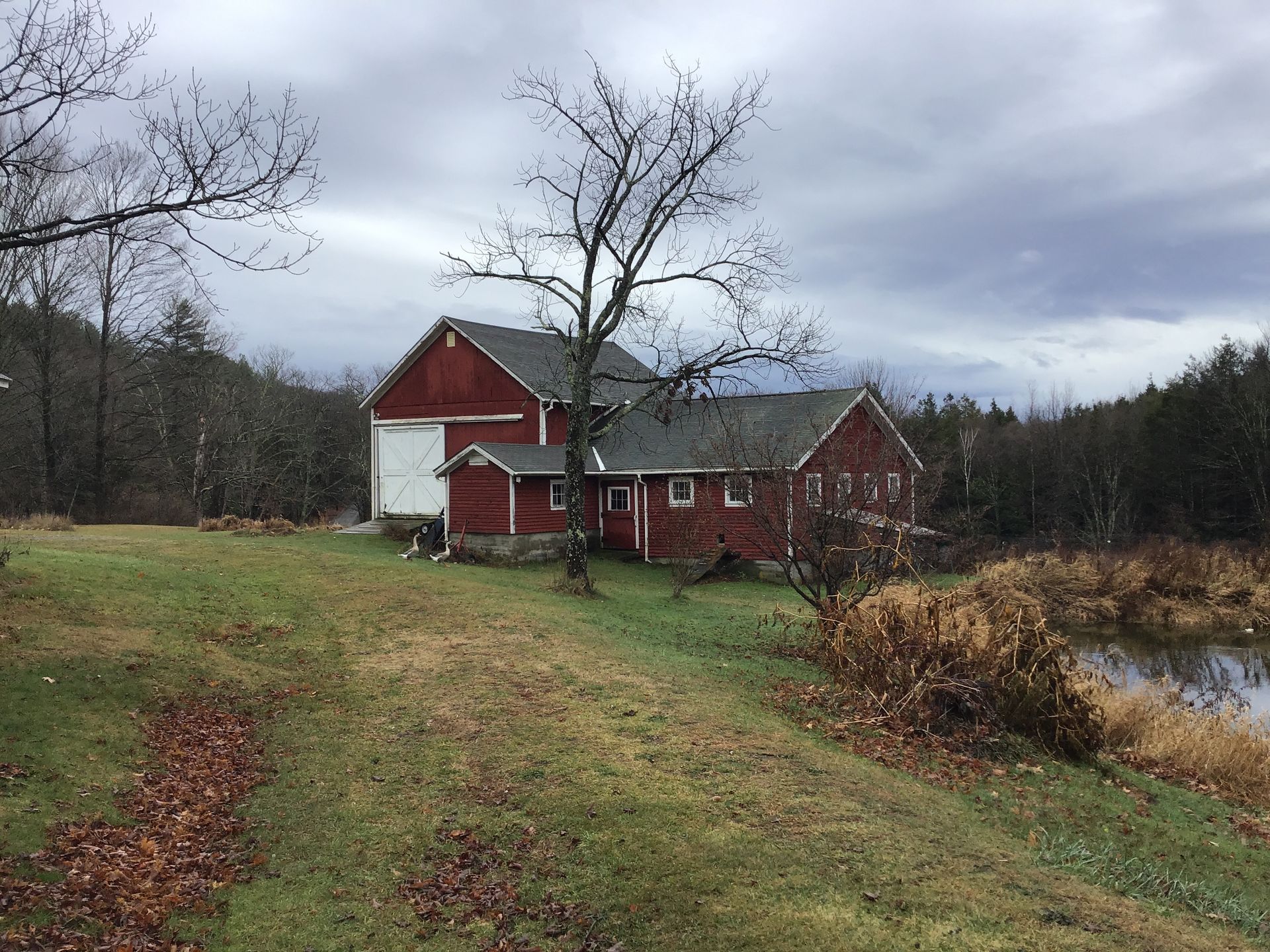 A red barn is sitting in the middle of a grassy field next to a pond.