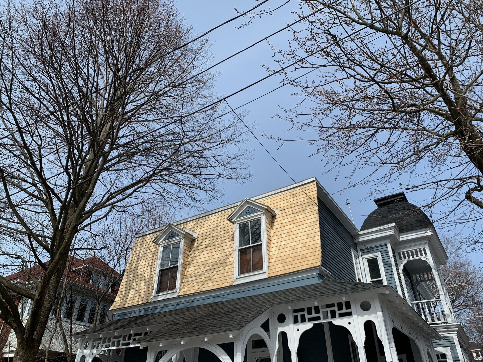 Une maison avec un toit en forme de dôme est entourée d'arbres et de lignes électriques.
