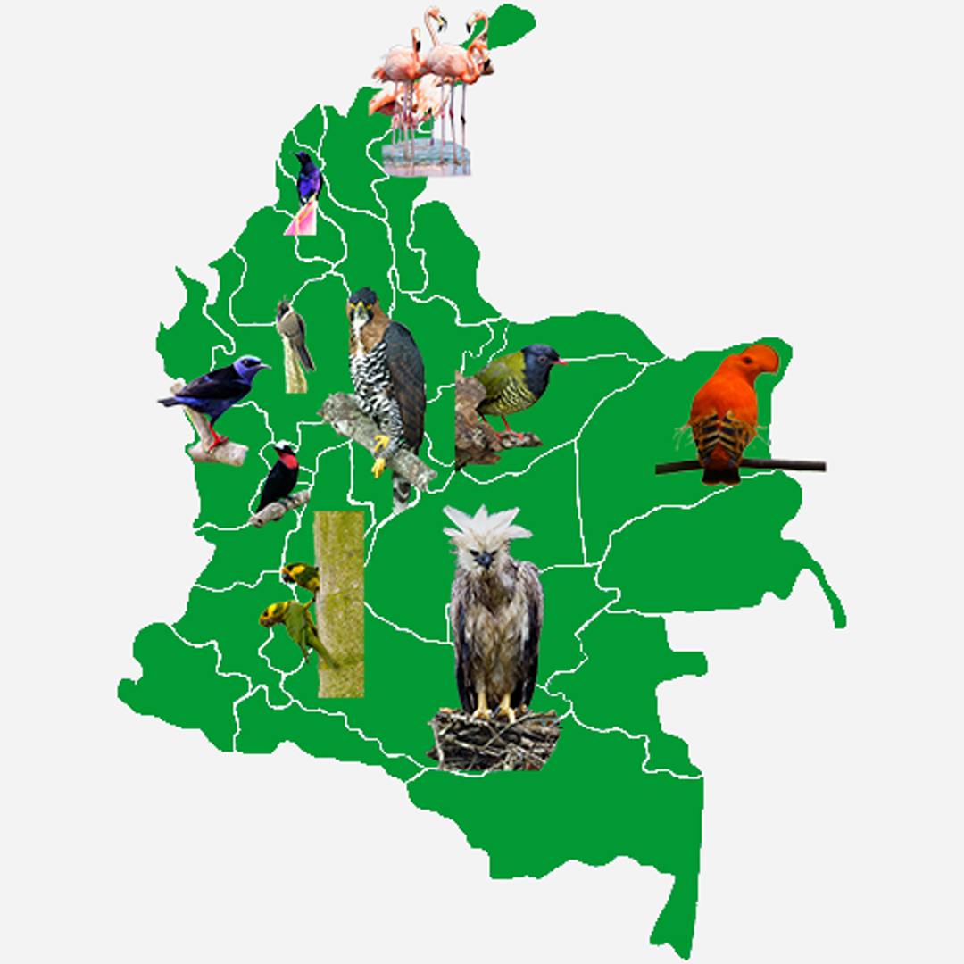 Birds distribution in Colombia