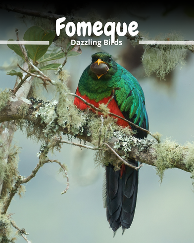 A colorful bird is perched on a tree branch.