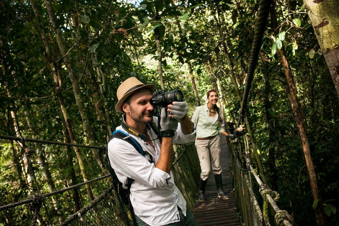 Amazon Bird Photography
