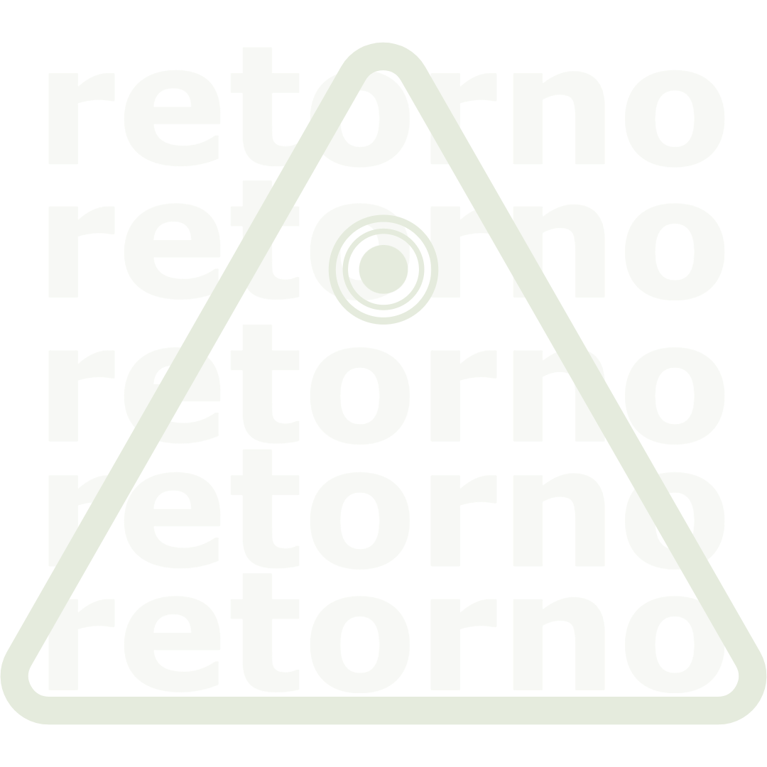 A white background with a triangle and the words returno birding on it.