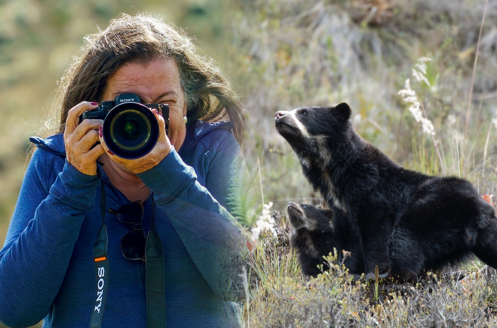 A bird is perched on a tree branch.