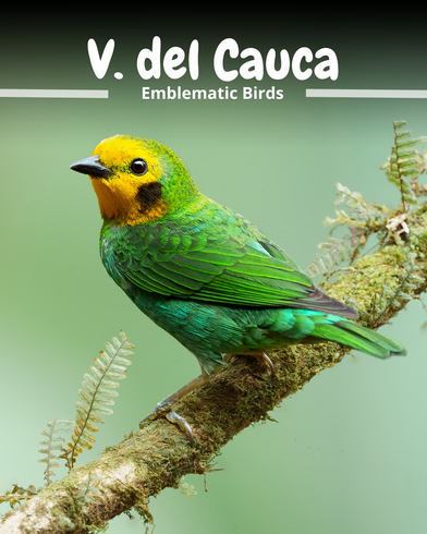 A green and yellow bird is perched on a tree branch.
