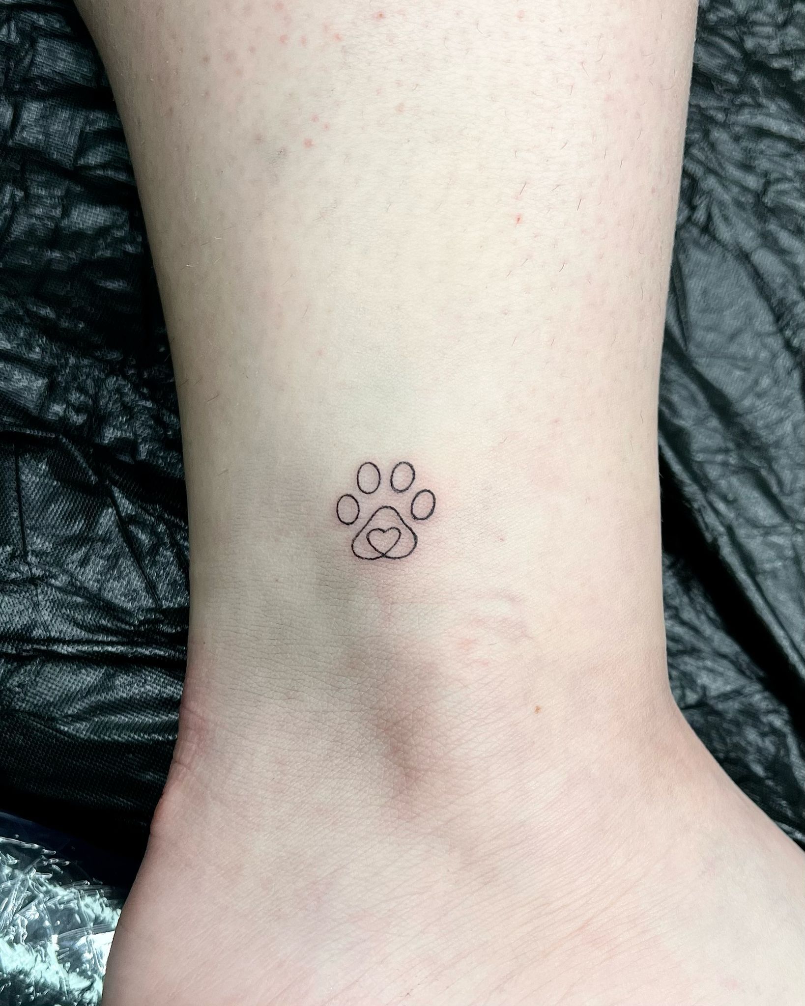 A small tattoo of a paw print on a person 's ankle