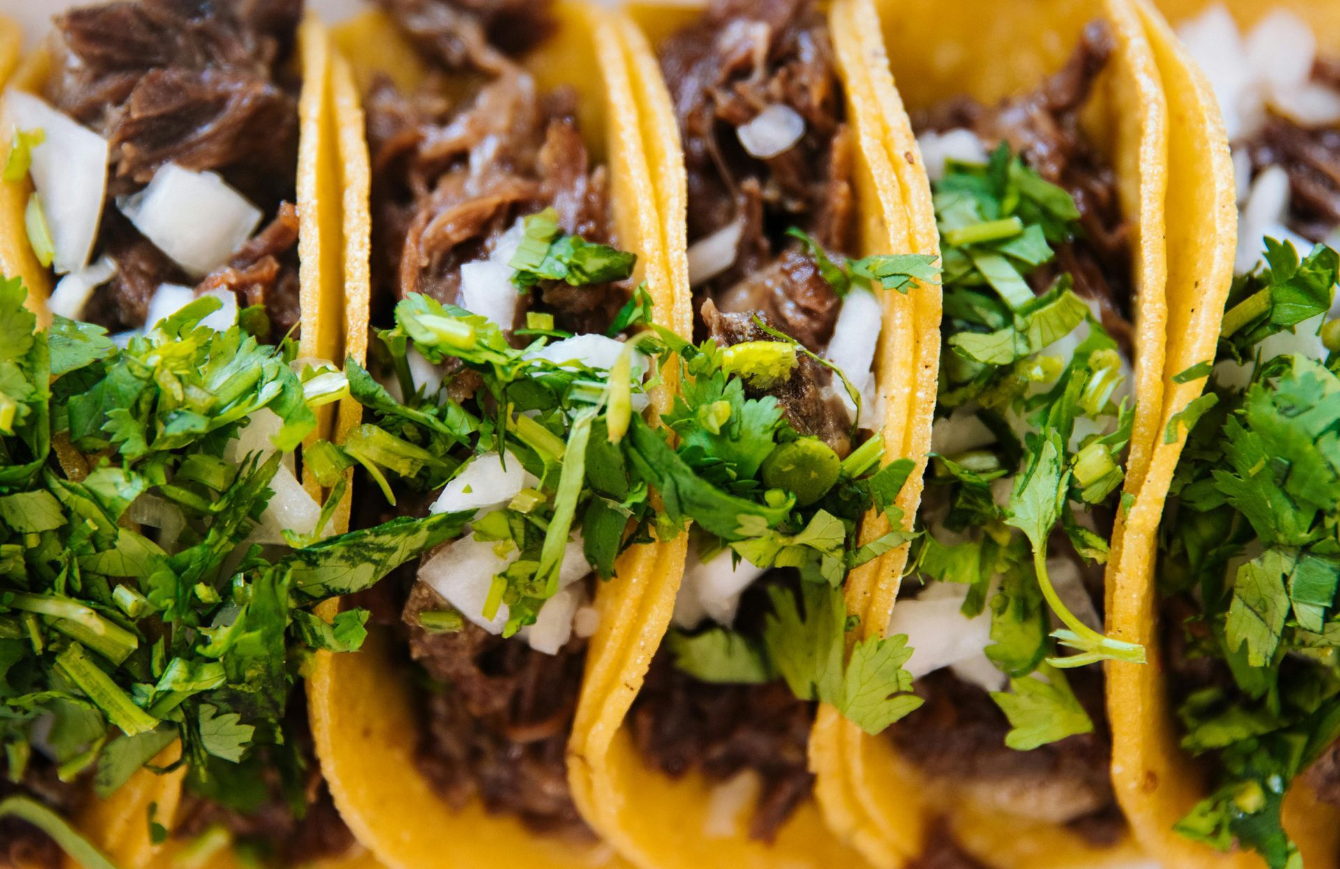 A close-up, top-down view of four tacos in yellow corn tortillas, topped with shredded meat, diced white onion, and cilantro.