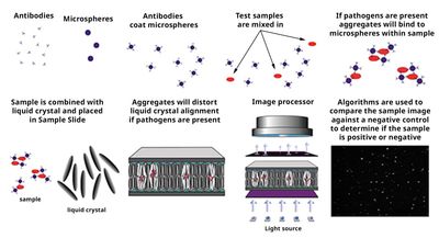 crystal diagnostics