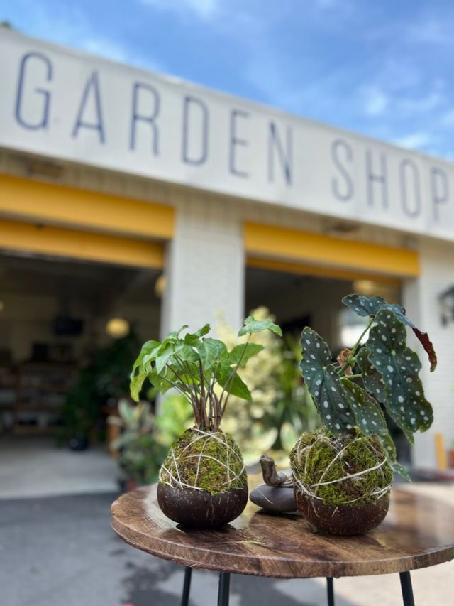 Honey at Above the Dirt Garden Shop photo 12