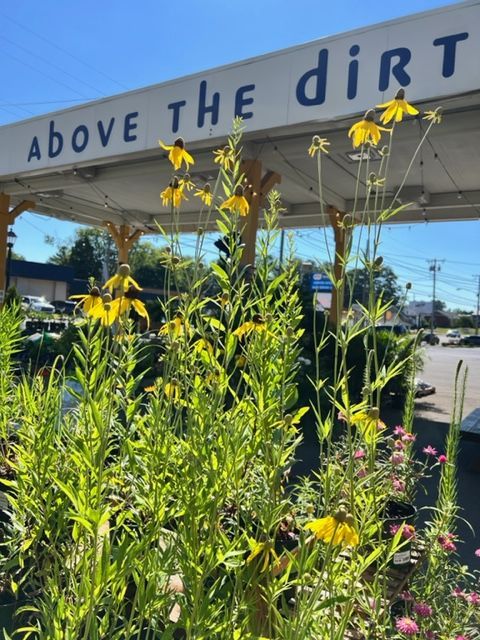 Honey at Above the Dirt Garden Shop photo 5