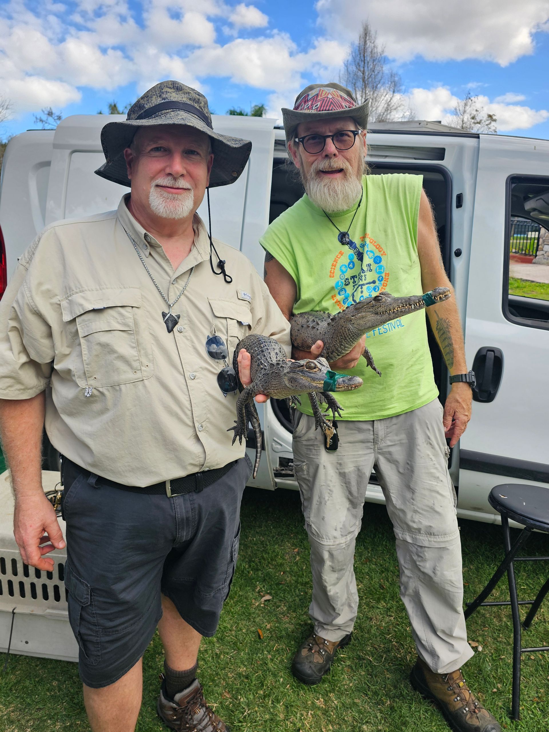 Baby alligator and crocodile