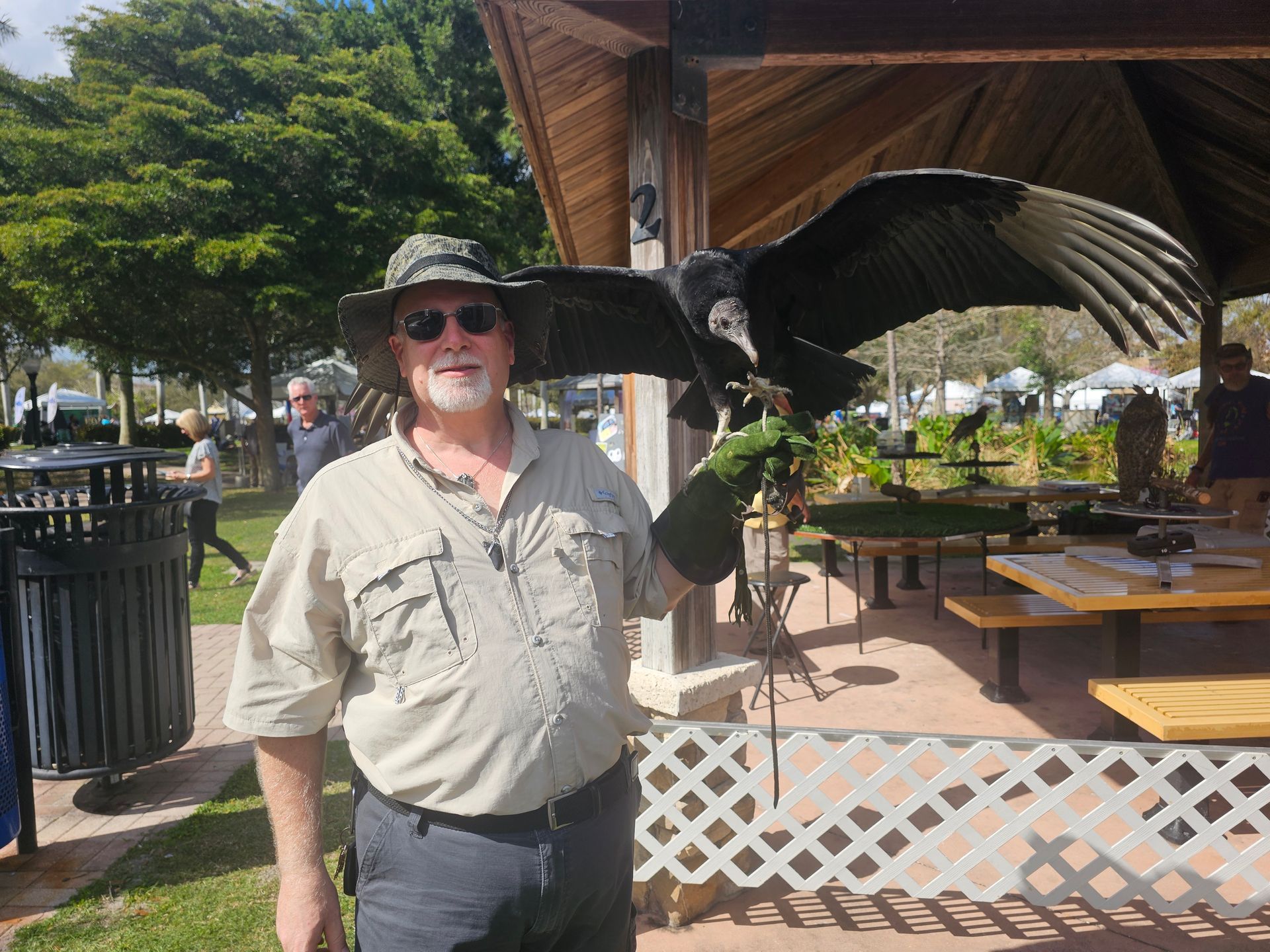 Black vulture perching on glove