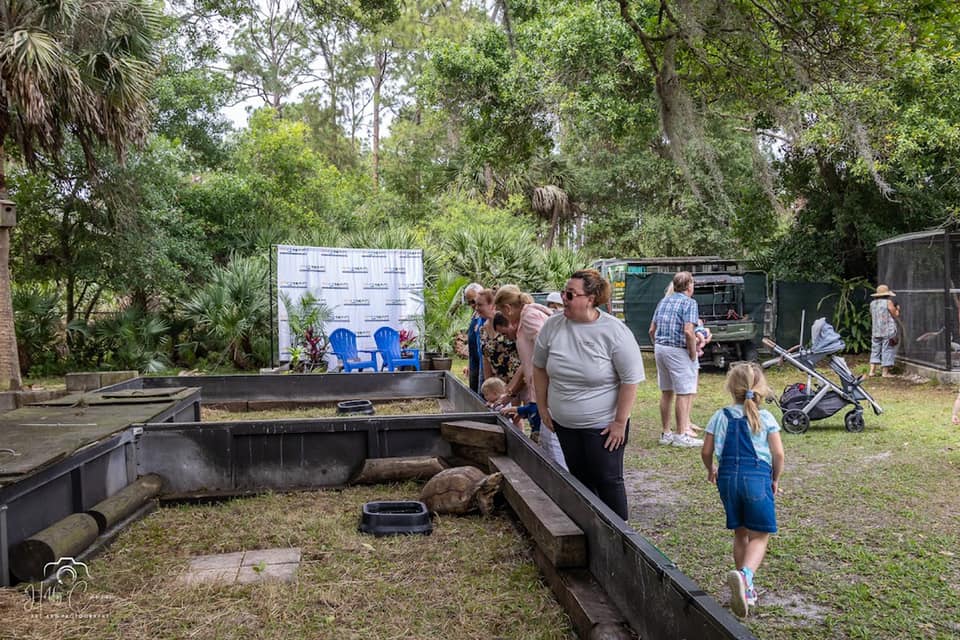 Visitors checking out tortoises