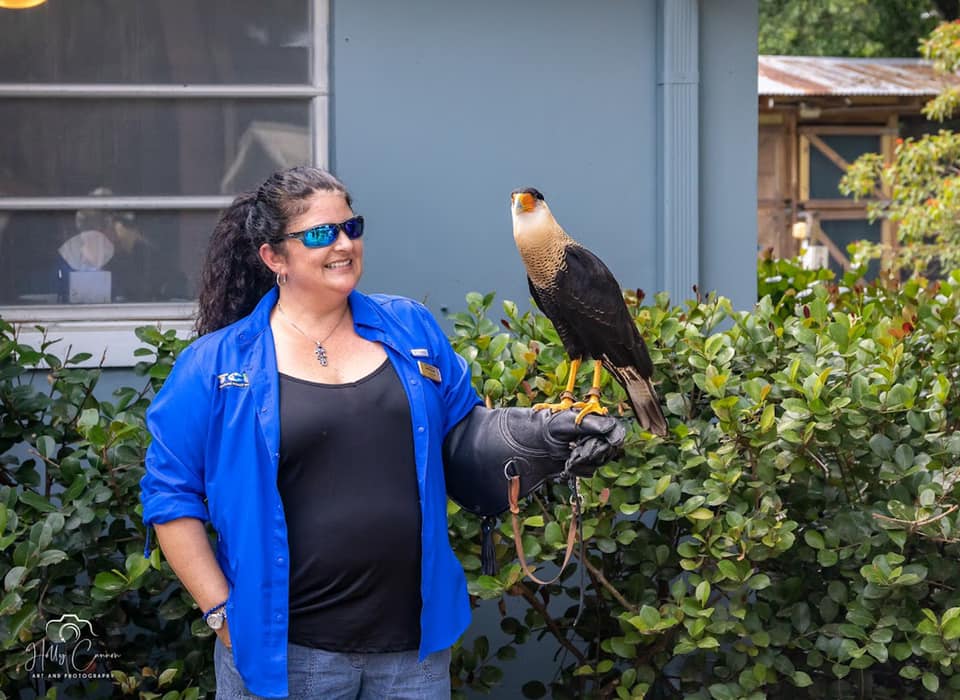 Clinic director with Crested Caracara