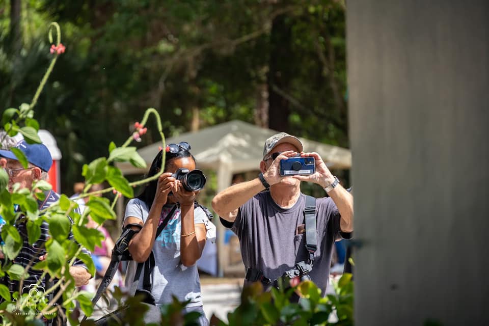 visitors taking photos