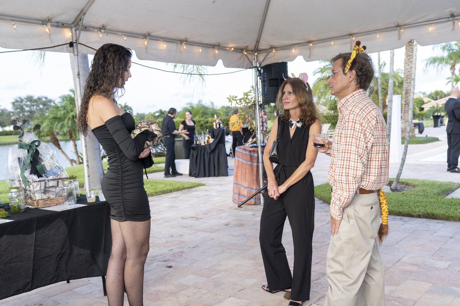 staff with ball python