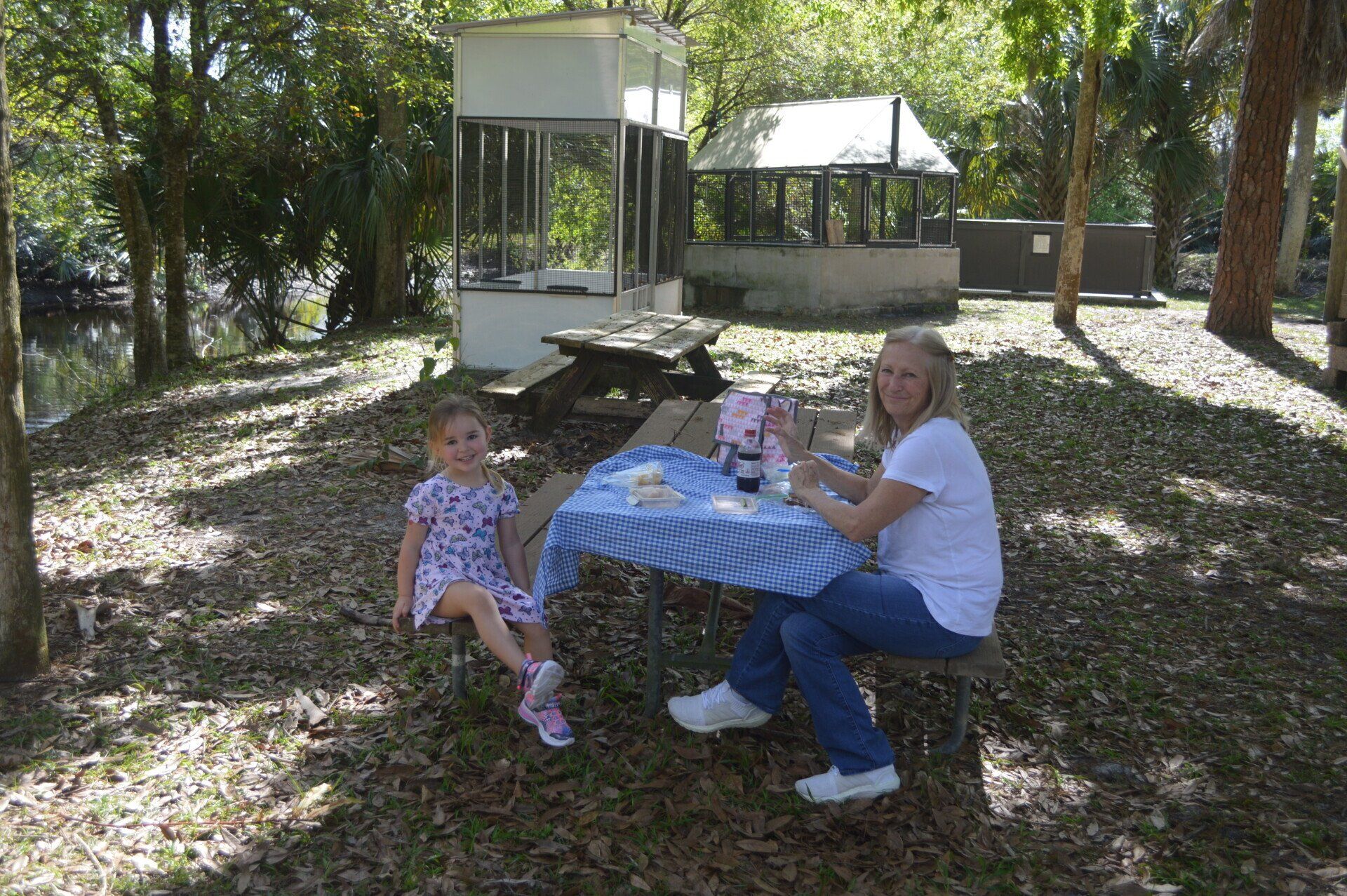Visitors enjoying a picnic