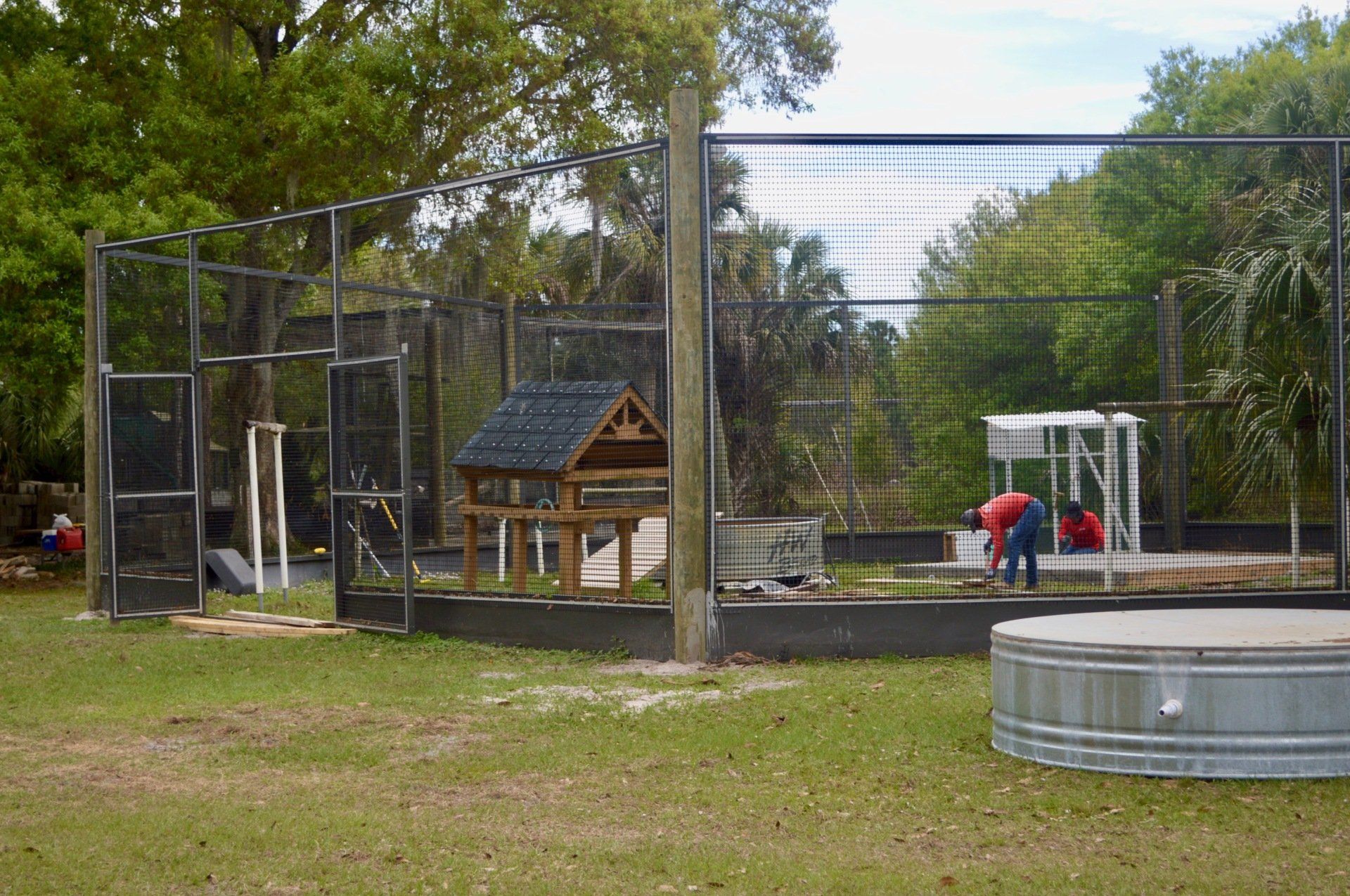New Pelican enclosure being worked on