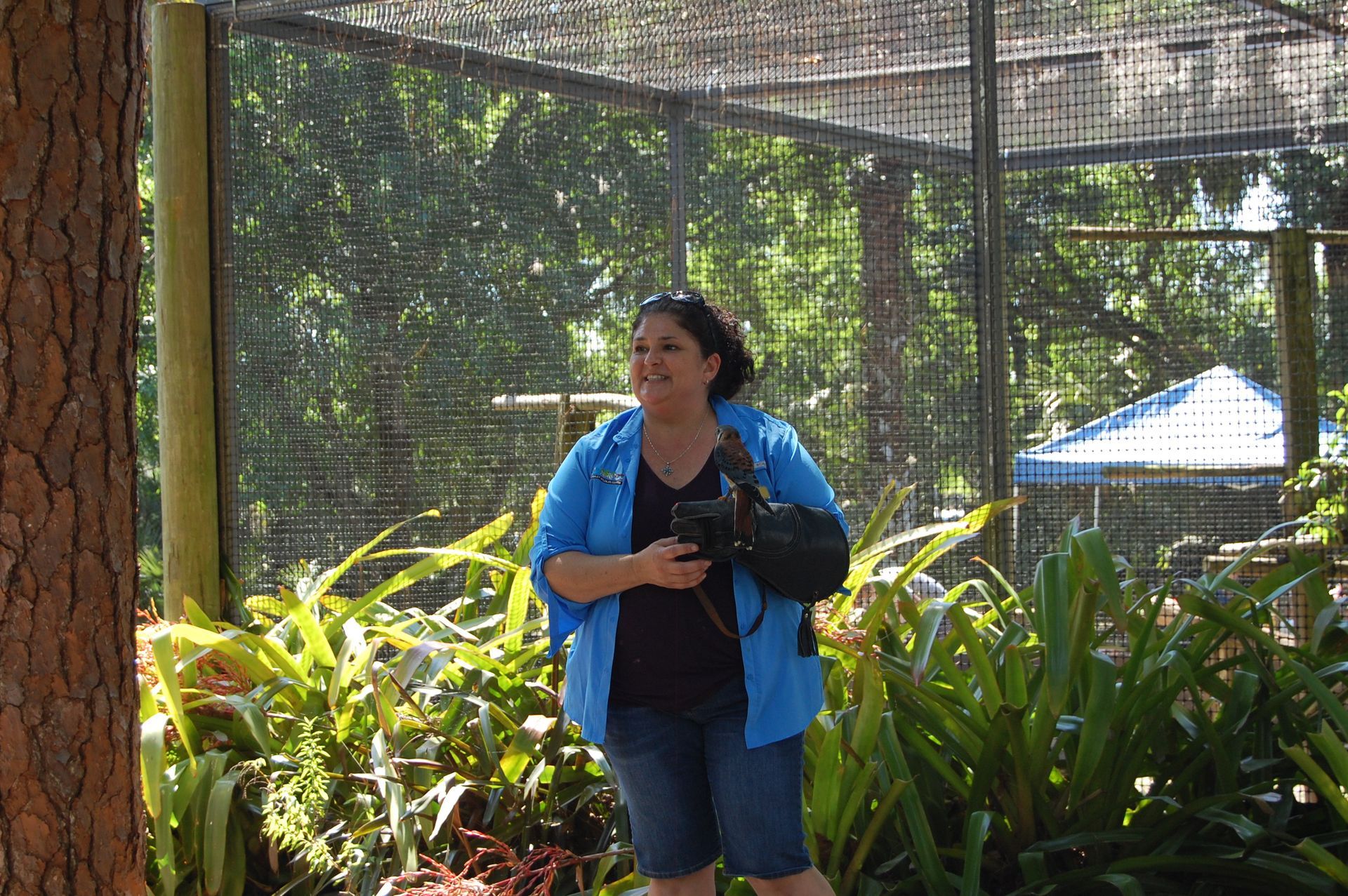 Staff member giving a tour